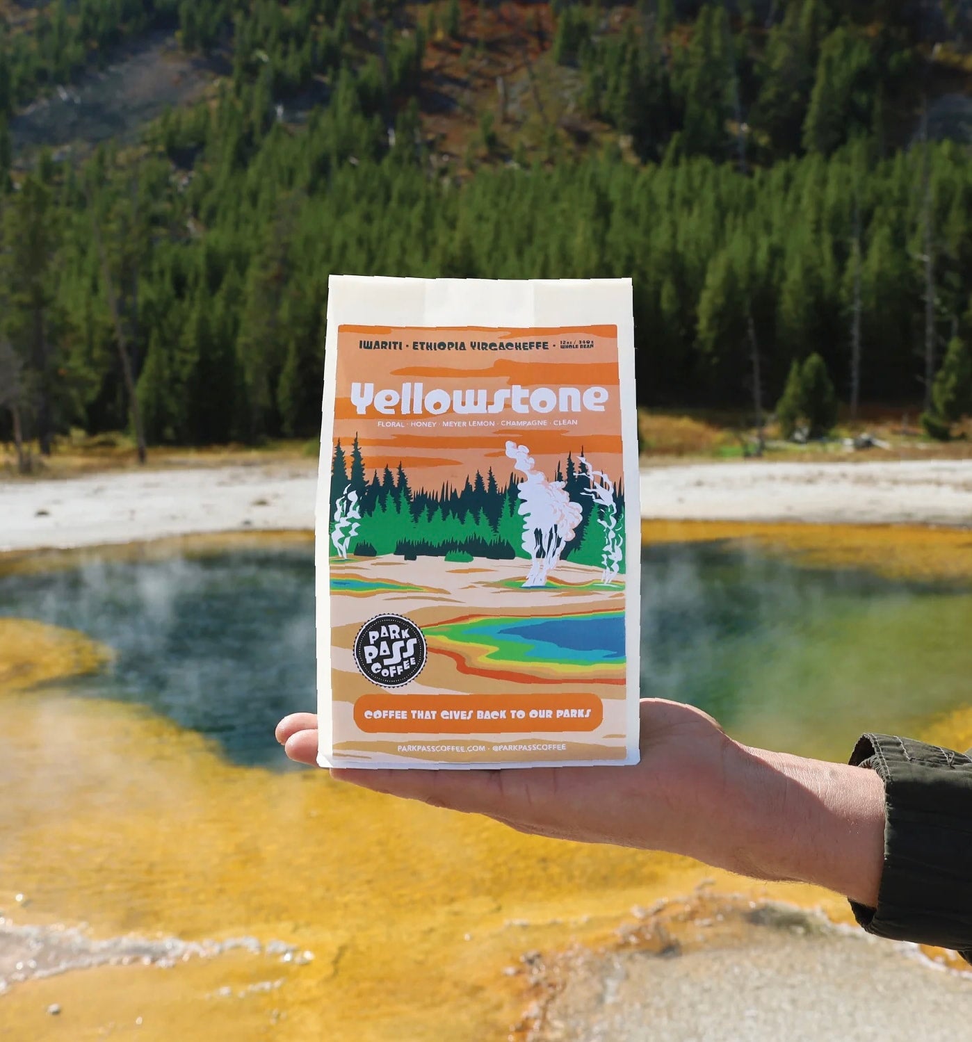 Coffee Ursa Minor Outfitters